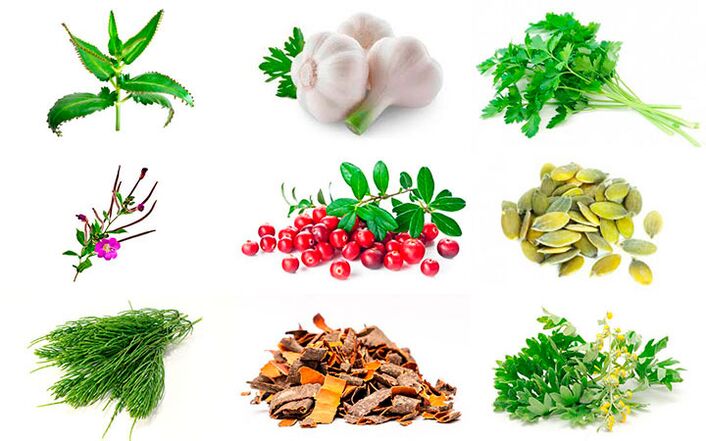 ljudska zdravila za zdravljenje prostatitisa